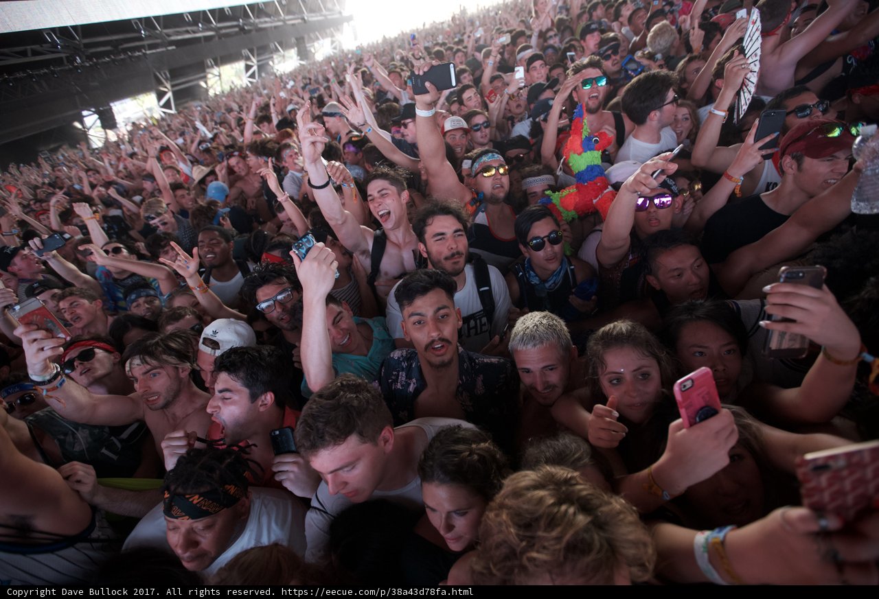 Coachella's Electrifying Crowd