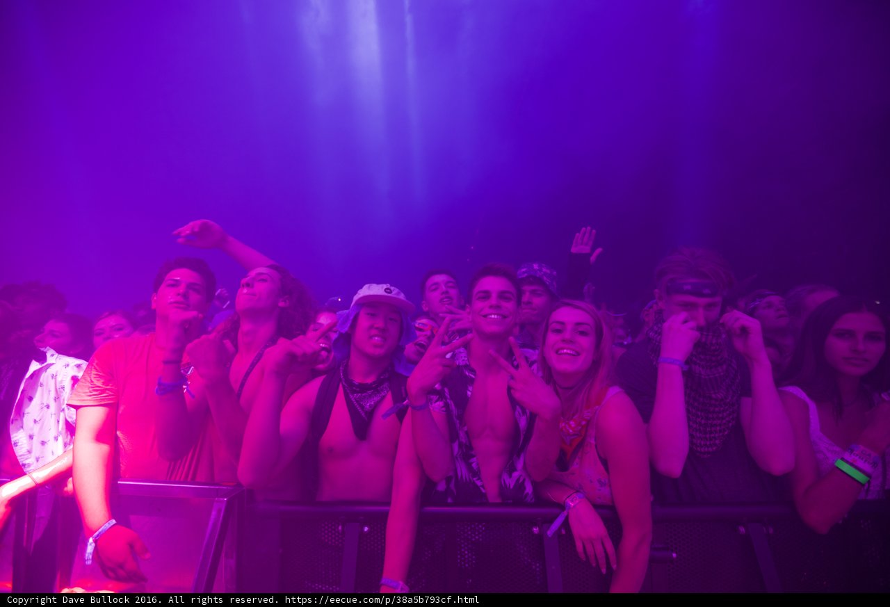 Purple Haze at Coachella