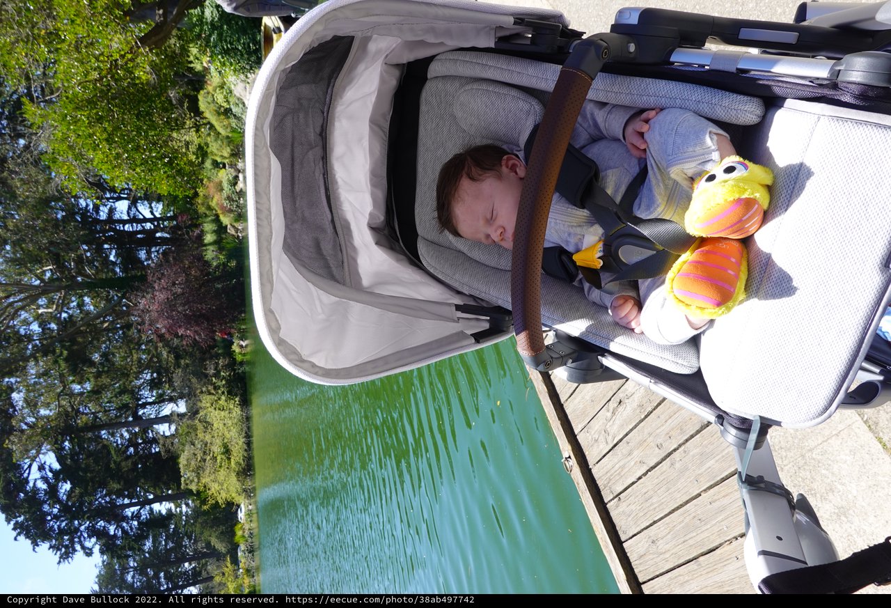 Peaceful Baby Nap by Garden Lake