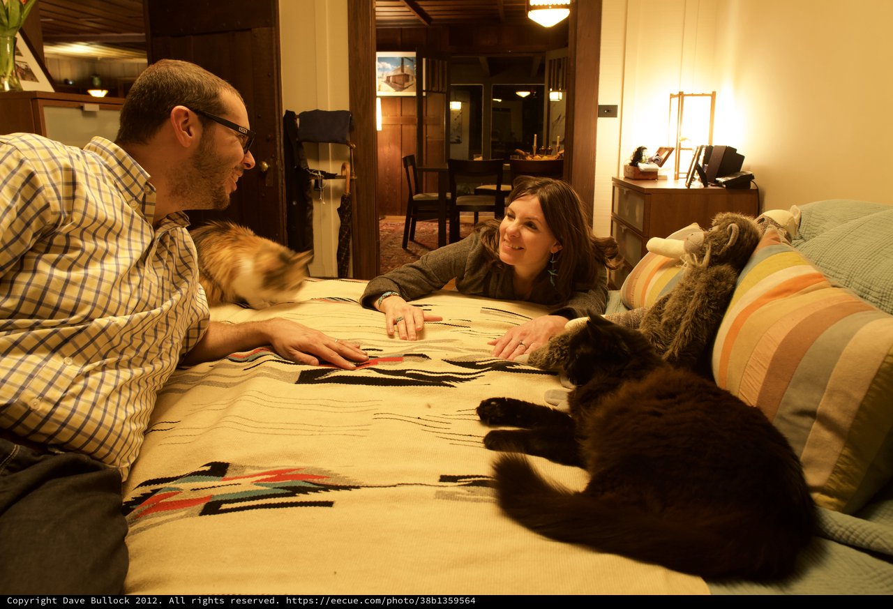 Couple Relaxing with Cats on Cozy Bed