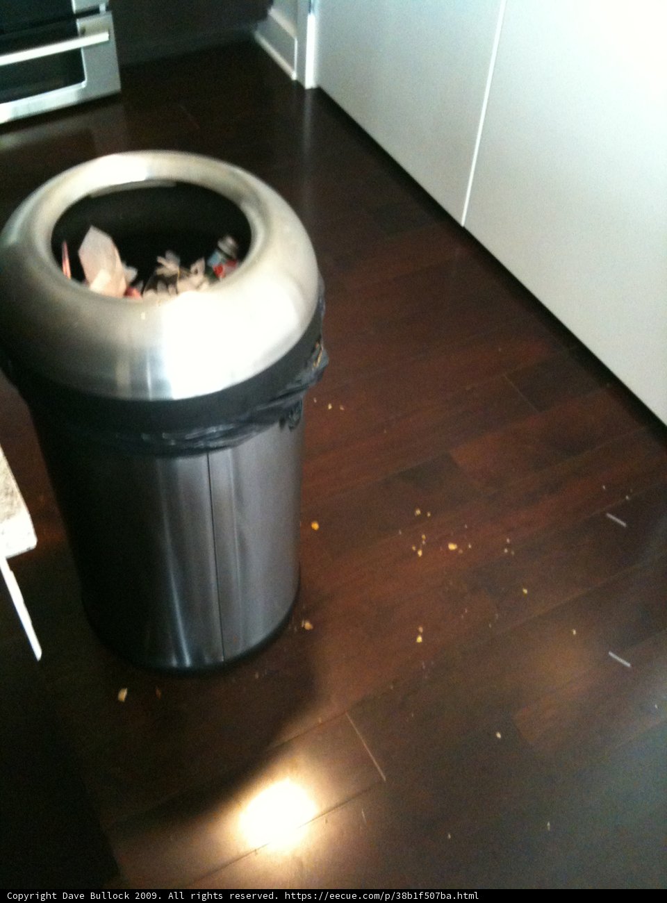 The Tin Trash Can in the Kitchen