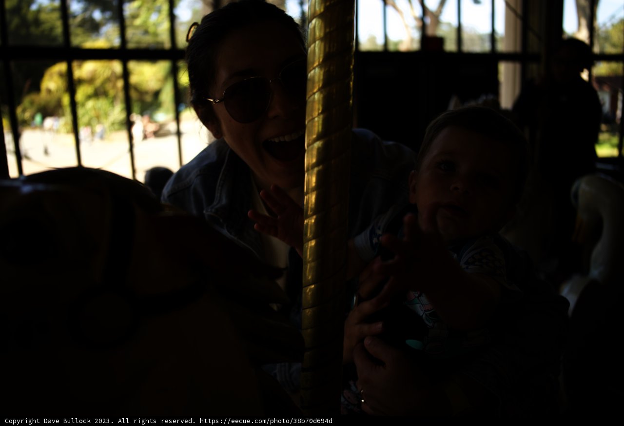 A Joyful Spin on the Golden Gate Park Carousel