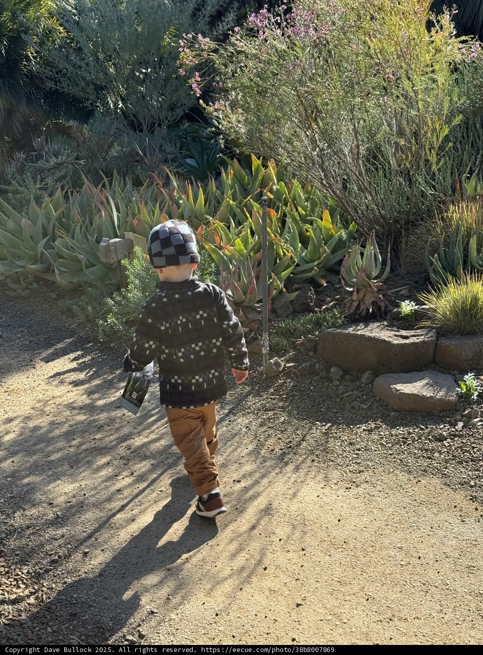 Exploring Nature's Playground
