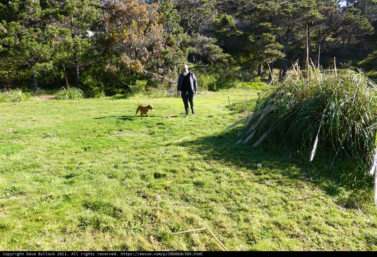 Man and his Canine Companion Enjoy a Walk in the Countryside