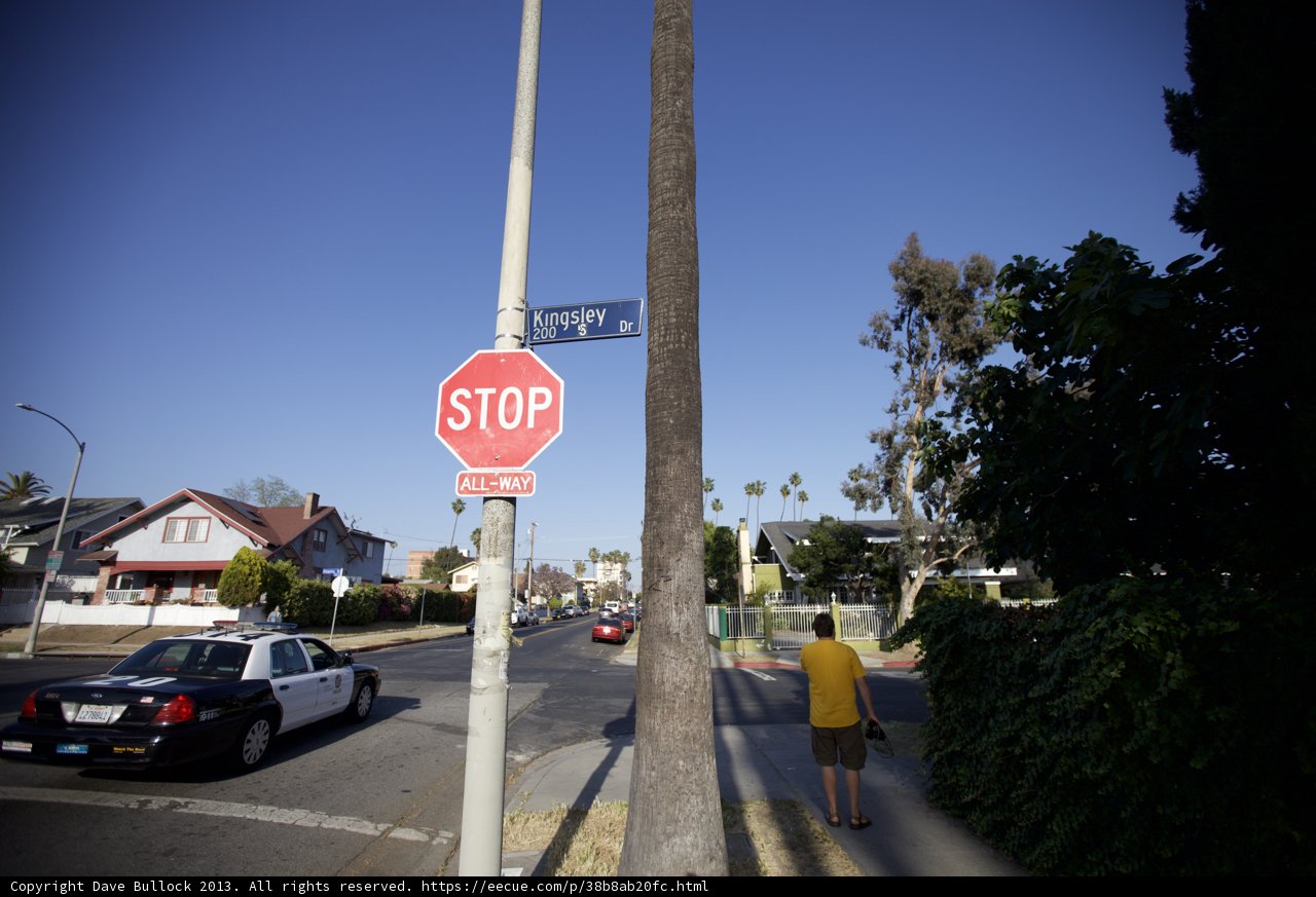 Stop in the Name of the Law