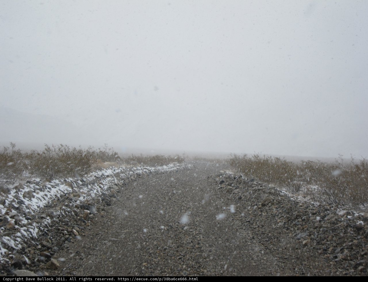 Winter's Gravel Path