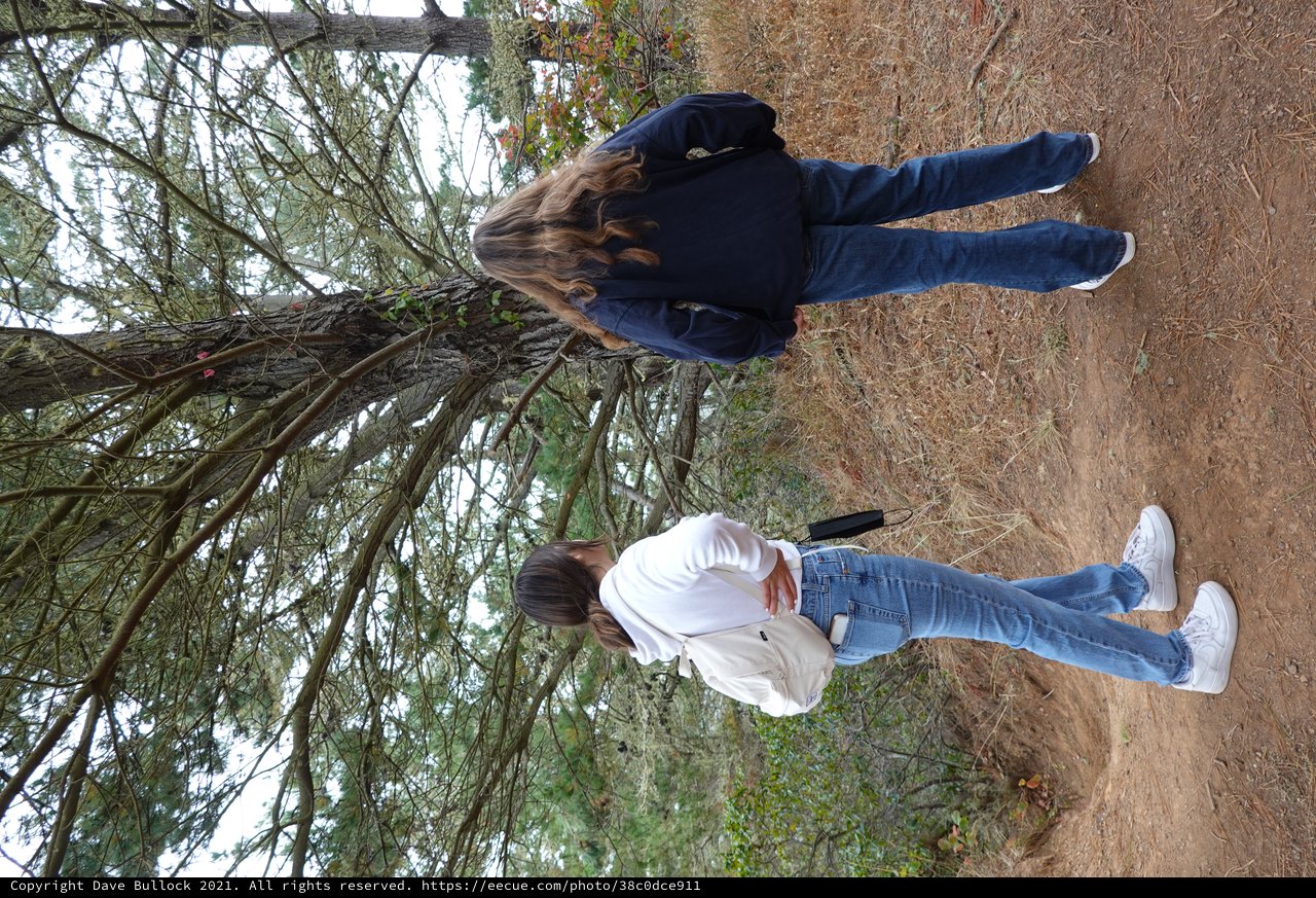 Two Friends Exploring Nature Trail Together
