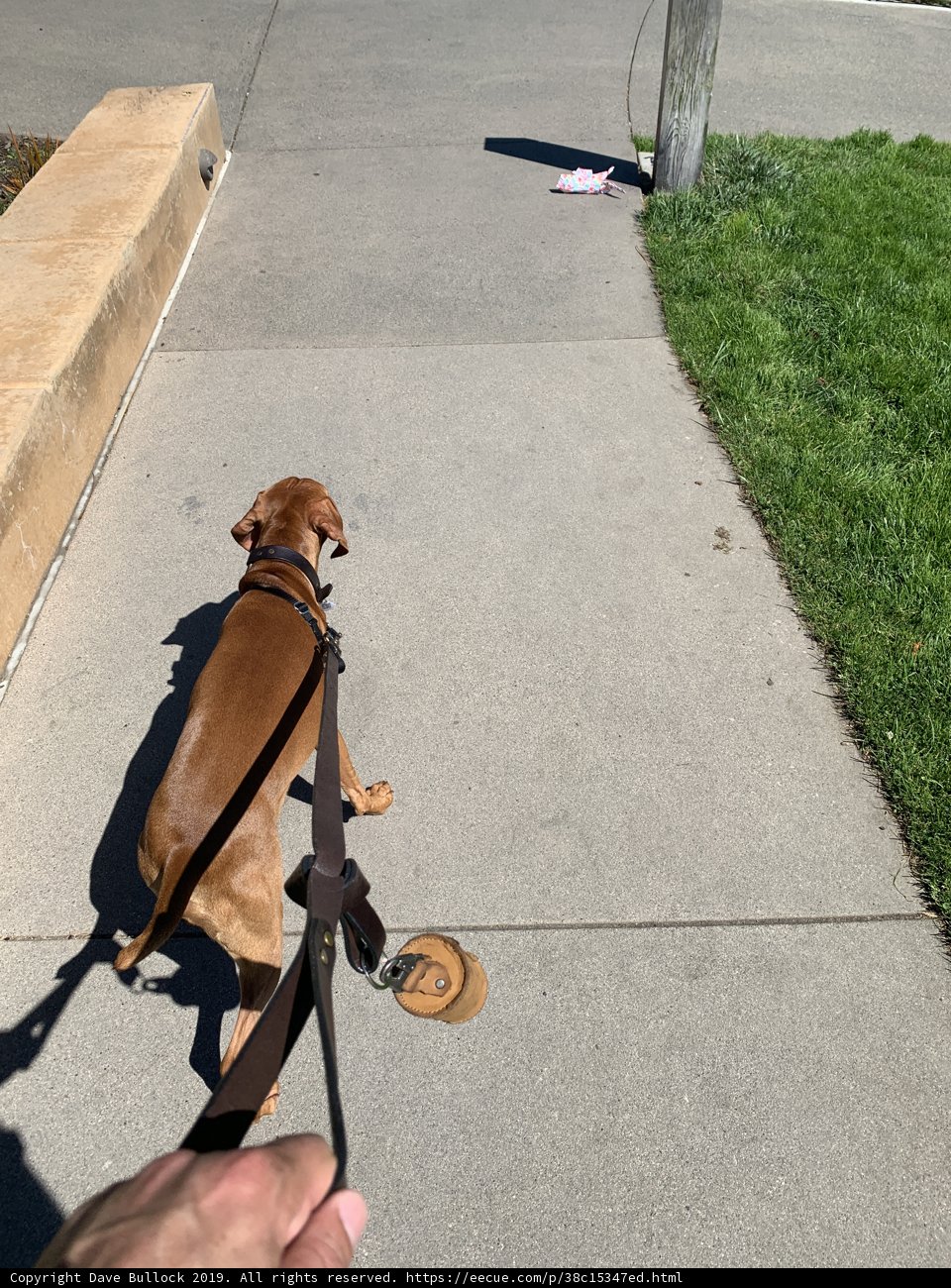 A Walk in the Park