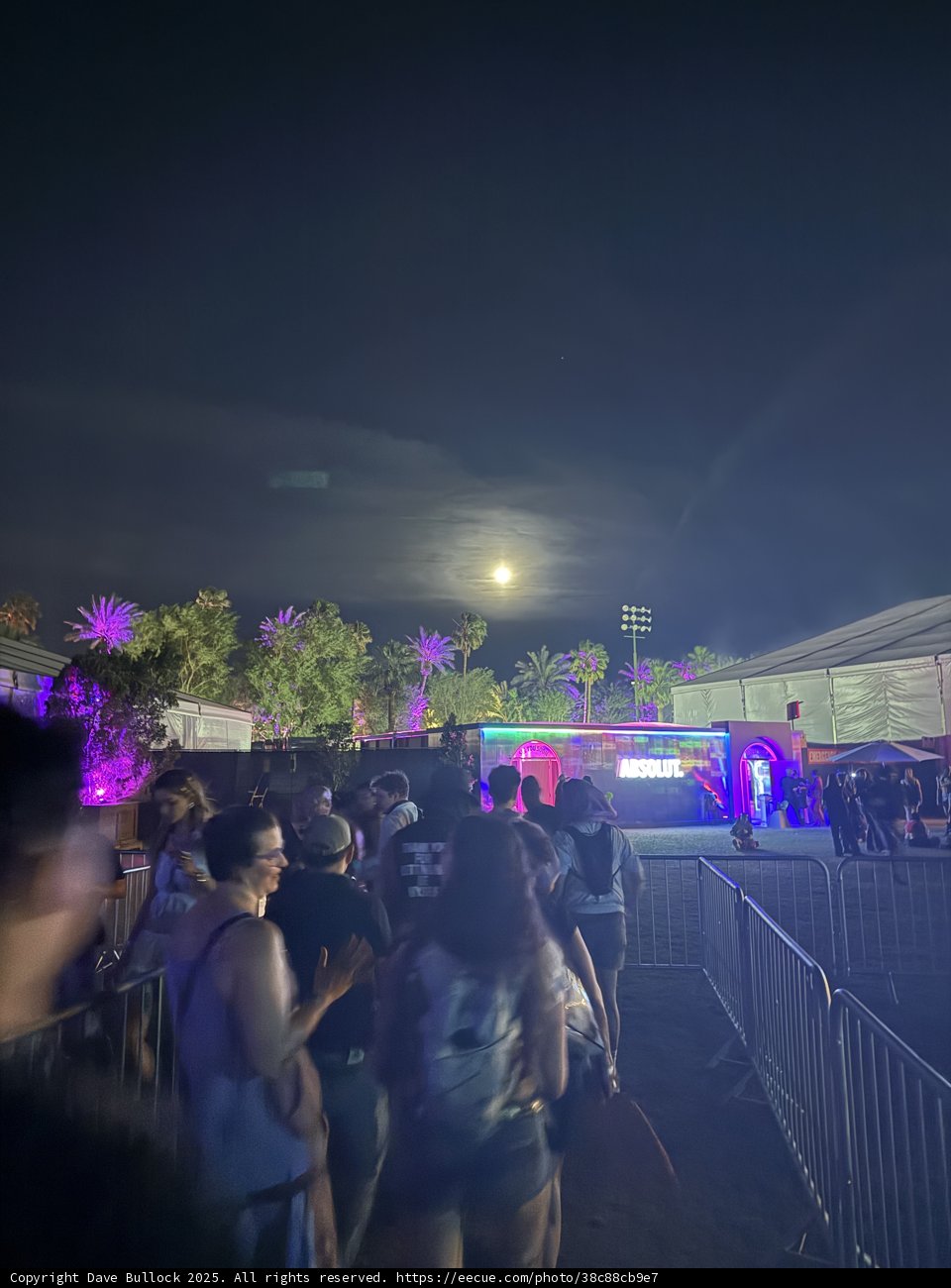Moonlit Vibes at the Empire Polo Club