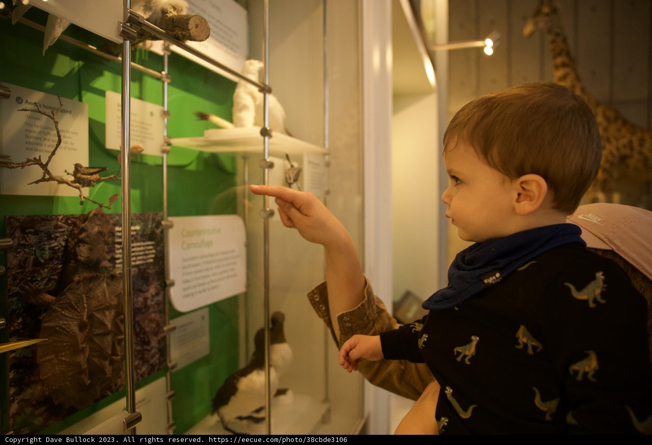 Enlightening Bonds at the Museum