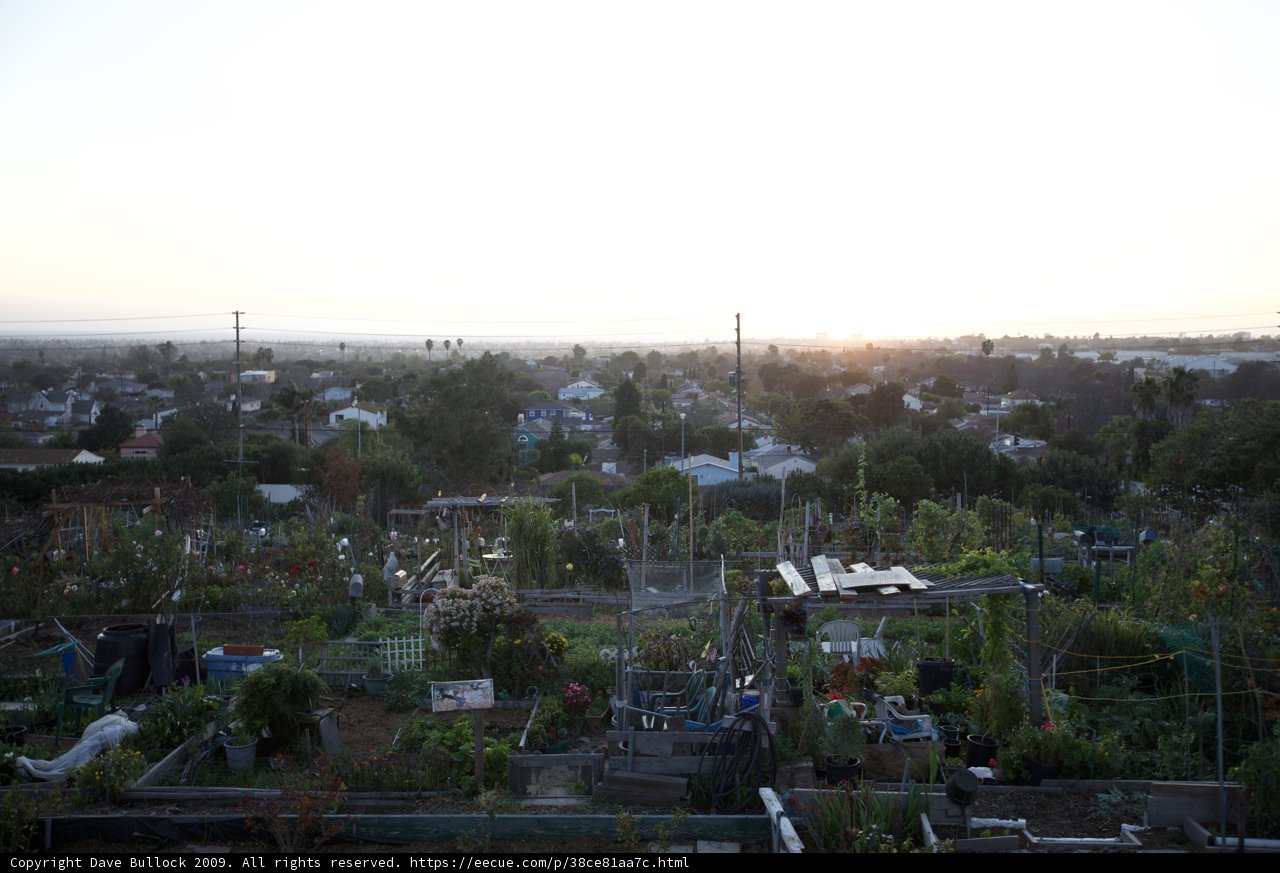 Rooftop Garden Sunset
