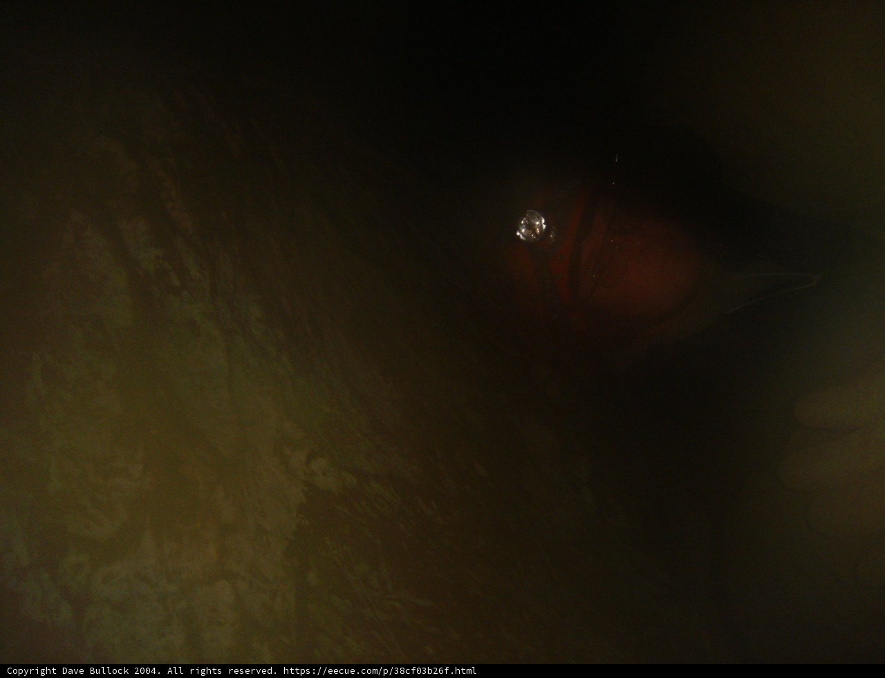 Into the Depths