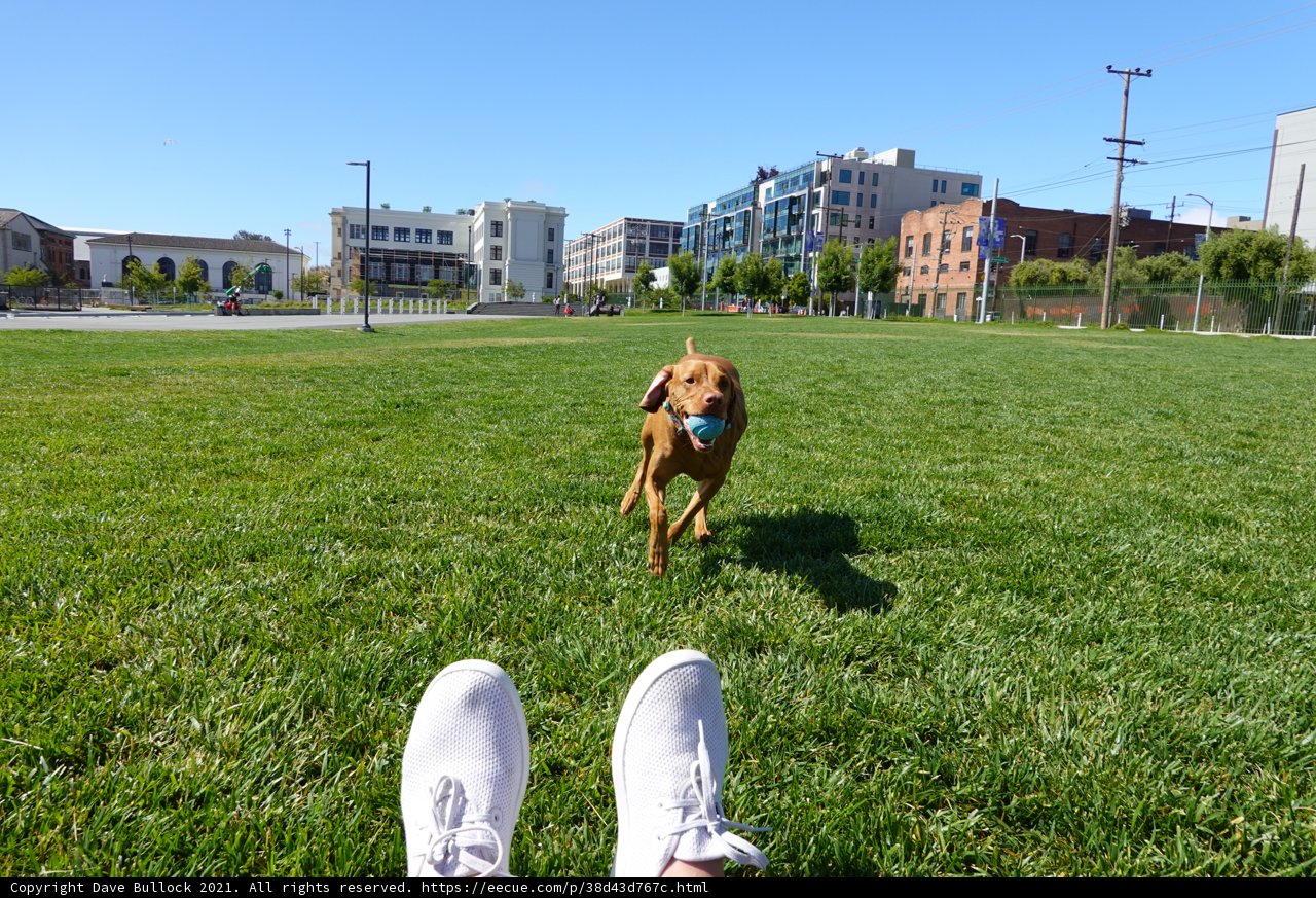 Stepping into the Grassy Wonderland