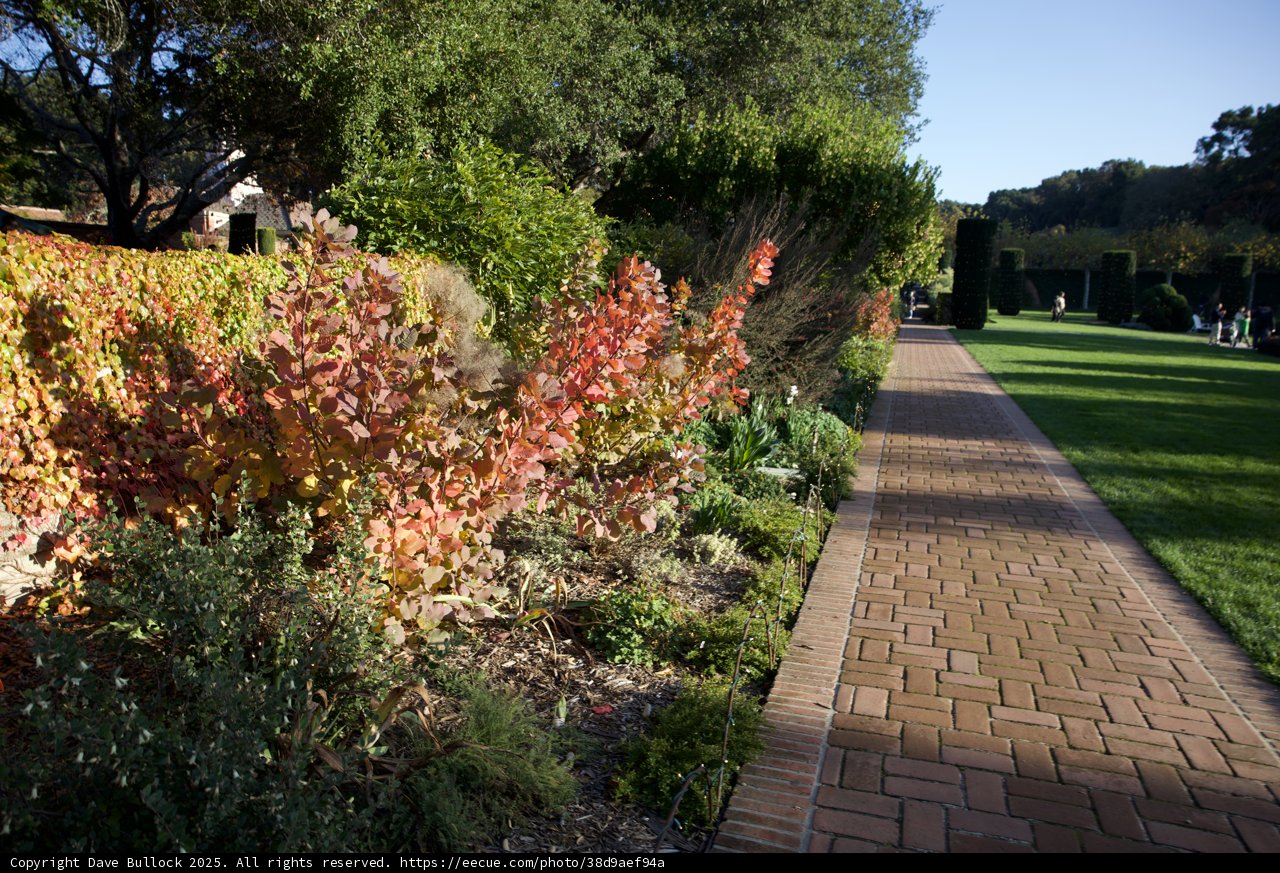 Tranquil Stroll Through Thistlewyck Gardens