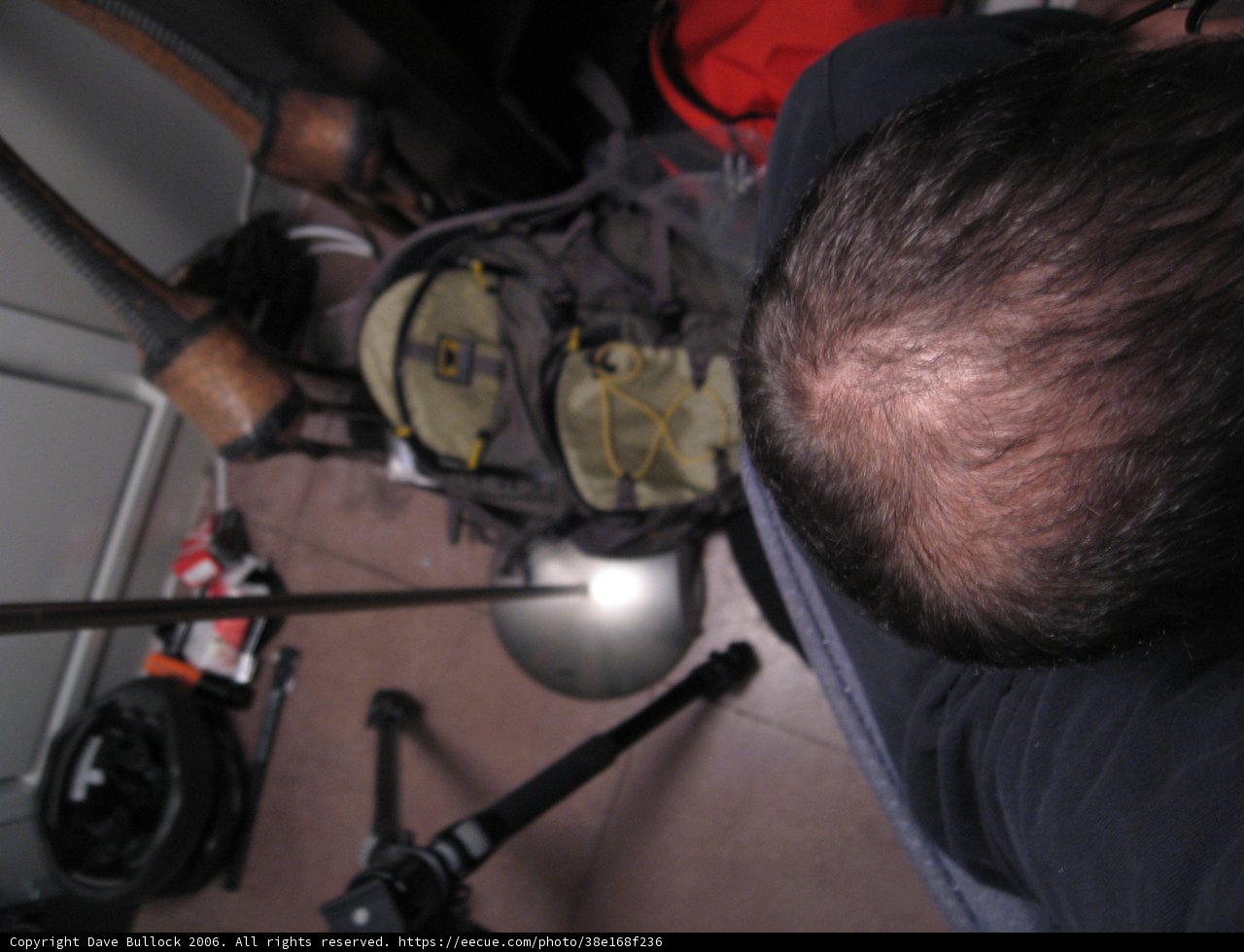 Bald and Bold