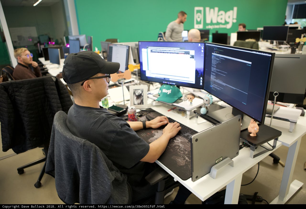 A Man and his Dual Monitors
