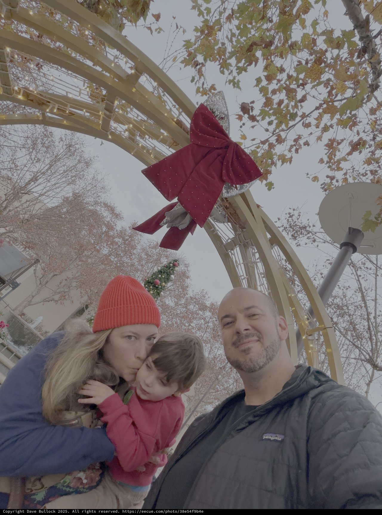 Family Selfie at Christmas Ferris Wheel