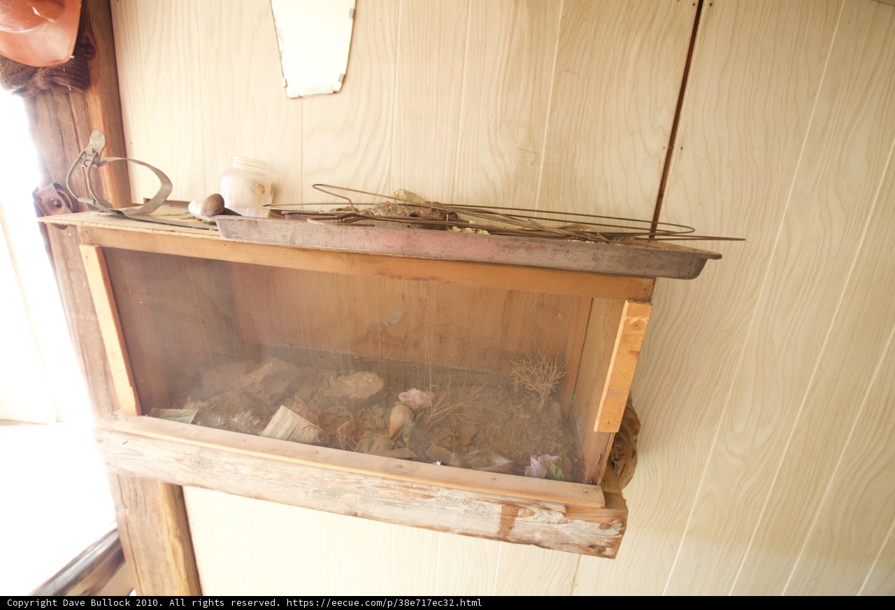 The Little Bird in the Plywood Box