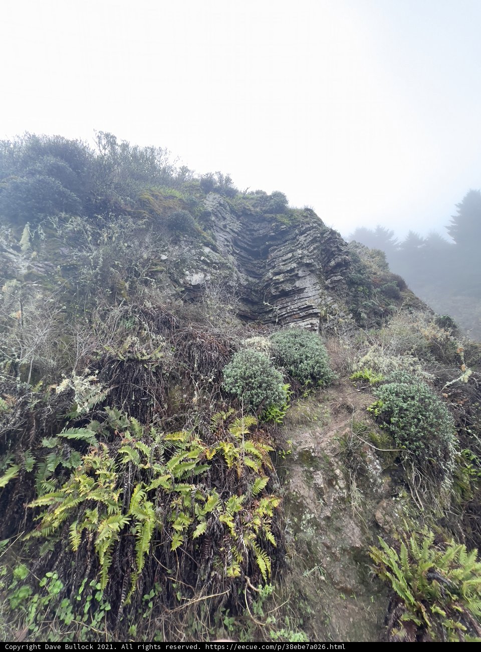 Rocky Slopes of Marin Headlands