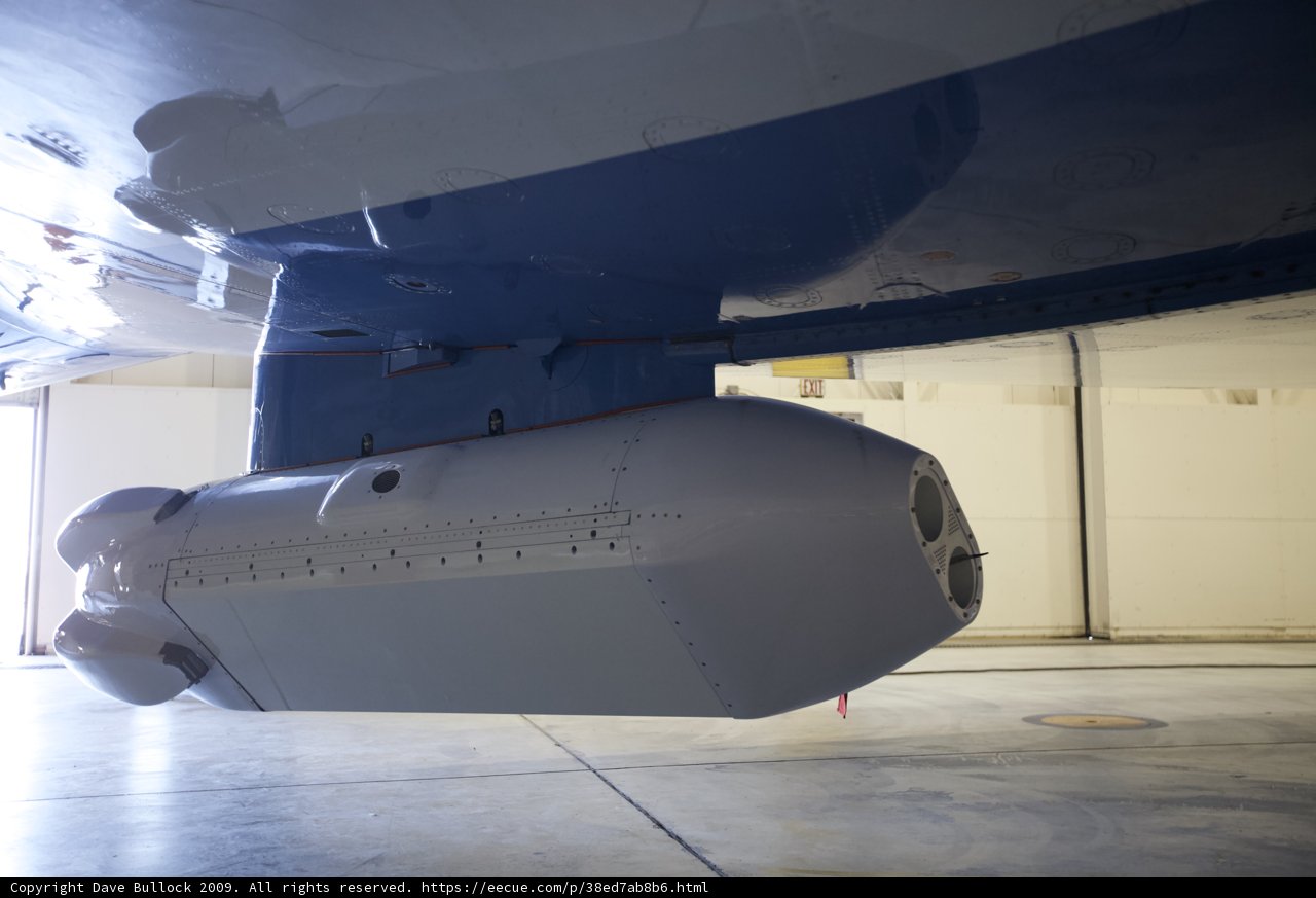 Beneath the Wings
