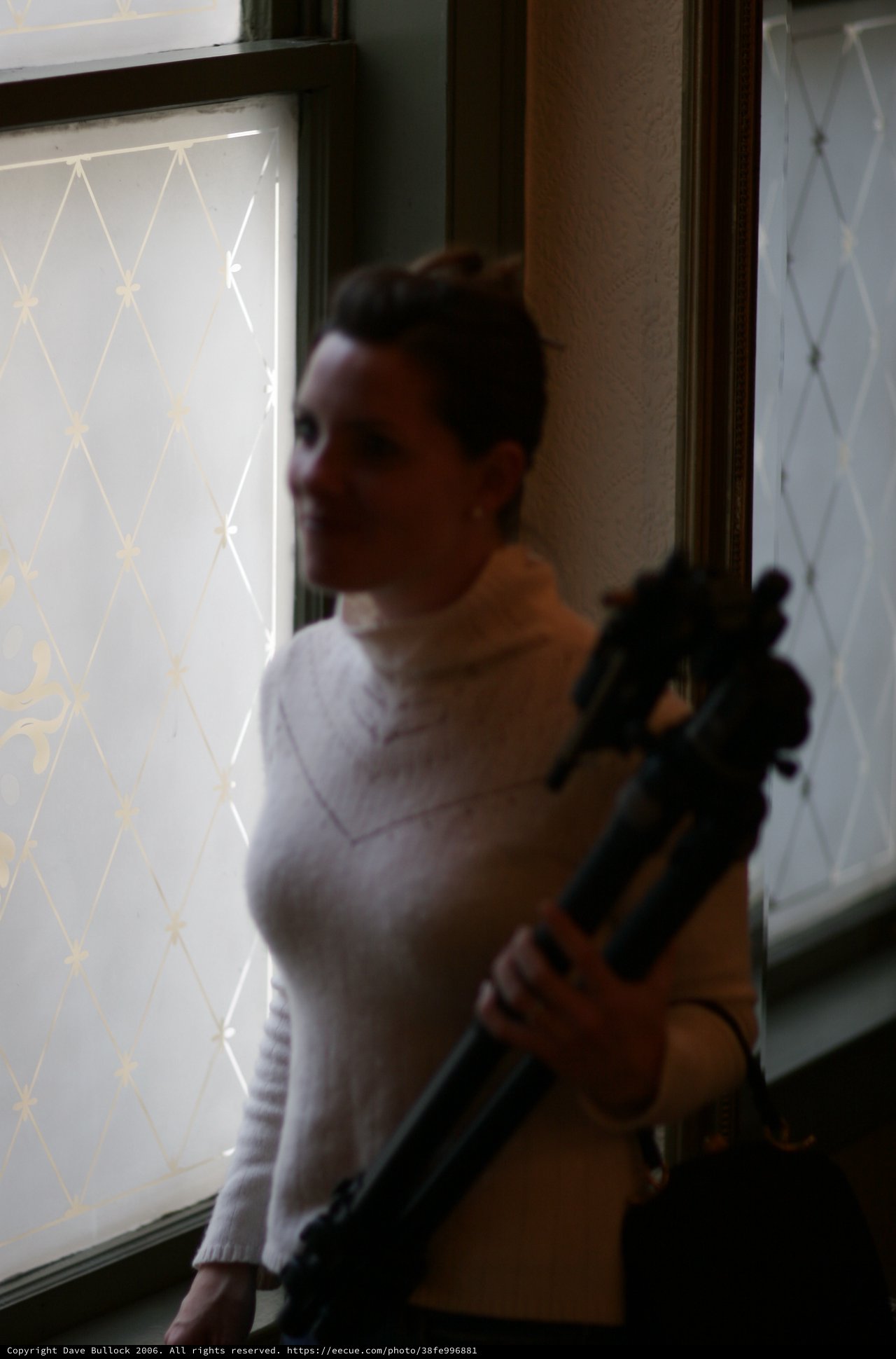 Musician with Instrument in Soft Window Light