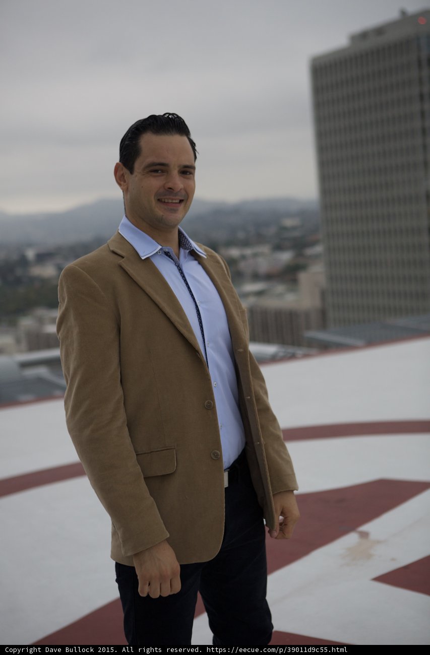 The Executive Overlooking the Urban Jungle