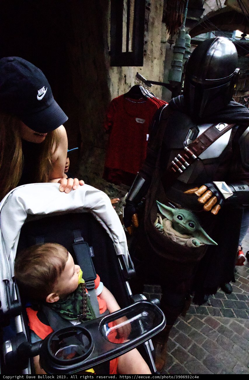 Safety First at Disneyland