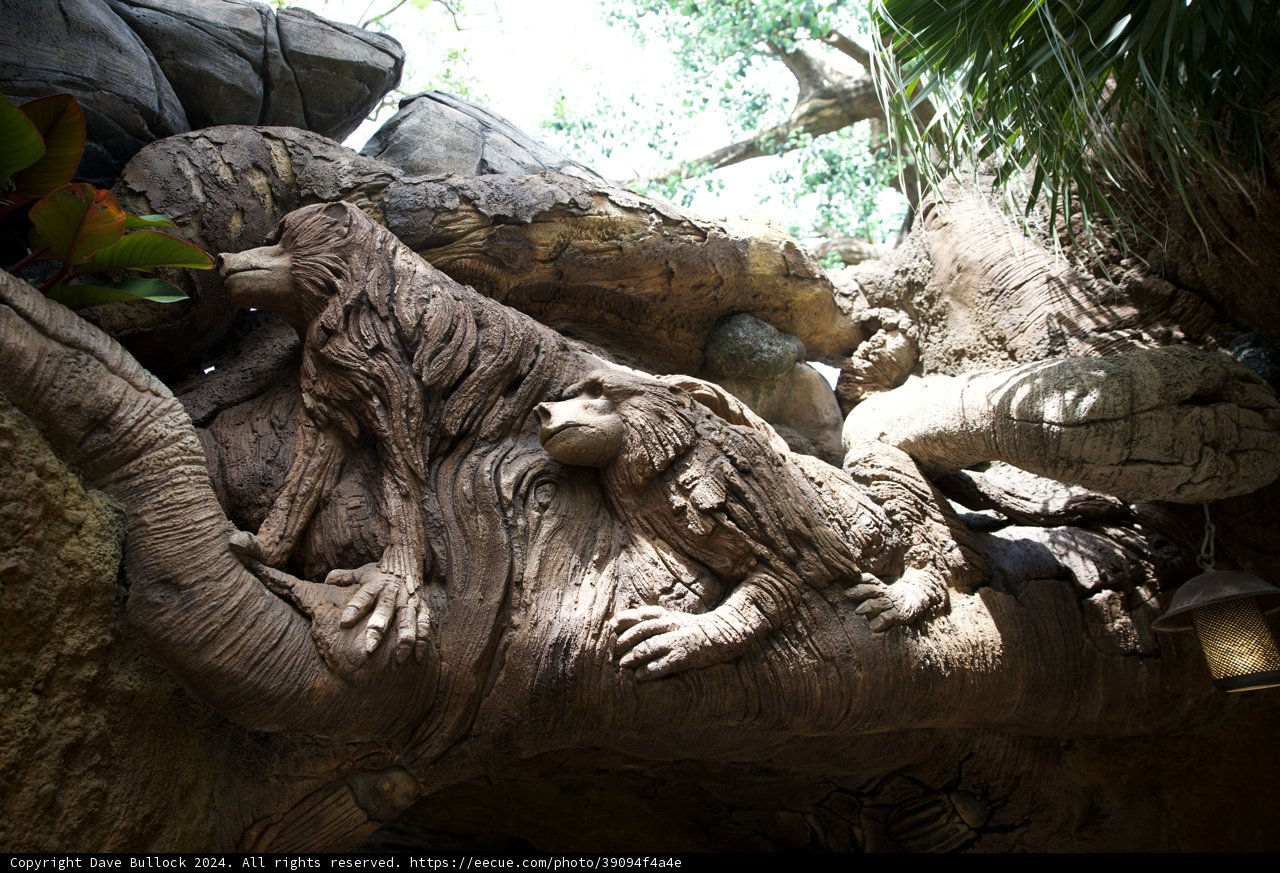 Enchanted Animal Kingdom: A Symphony in Wood