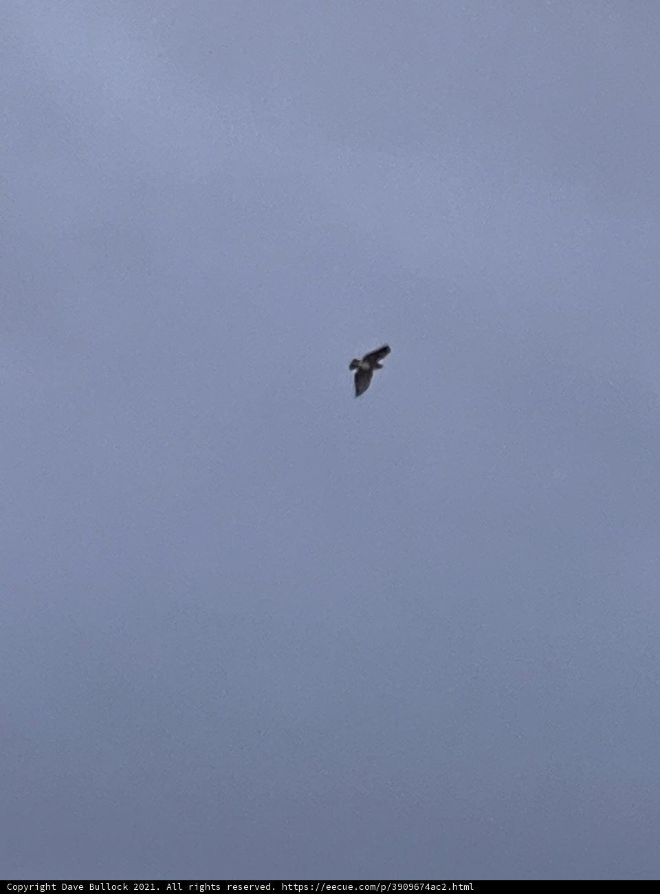 Flying High on a Cloudy Day