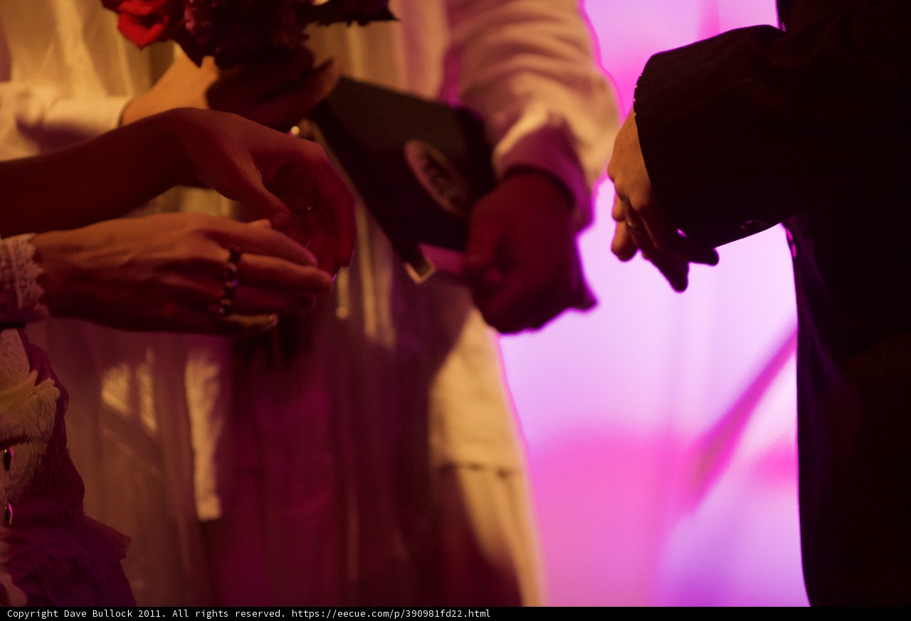 Holding Hands at the Wickstrom Wedding