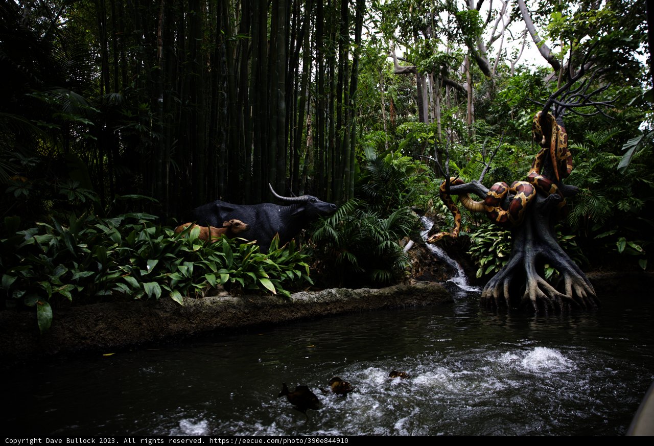 Cow Statue in the Magical Waters