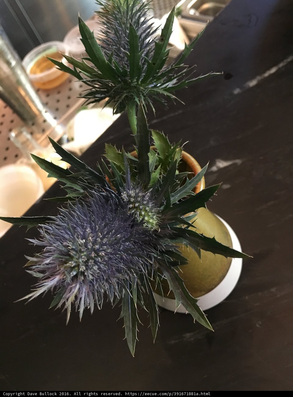 Purple Thistle Flower Arrangement