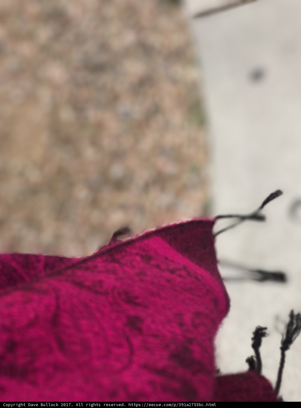 Velvet Petal Scarf with Black String