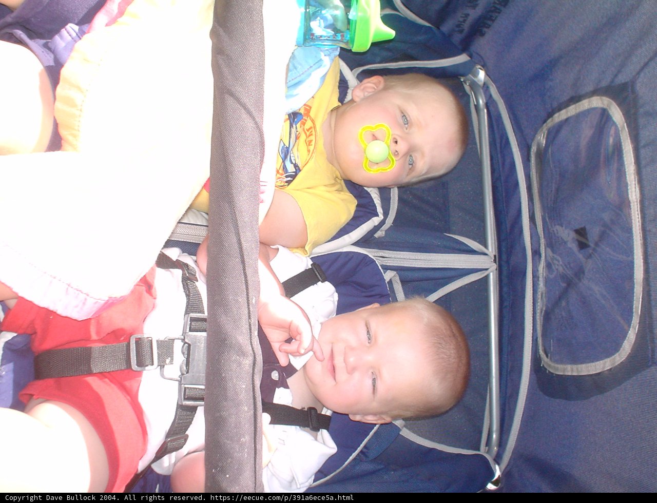 Double Trouble in the Stroller