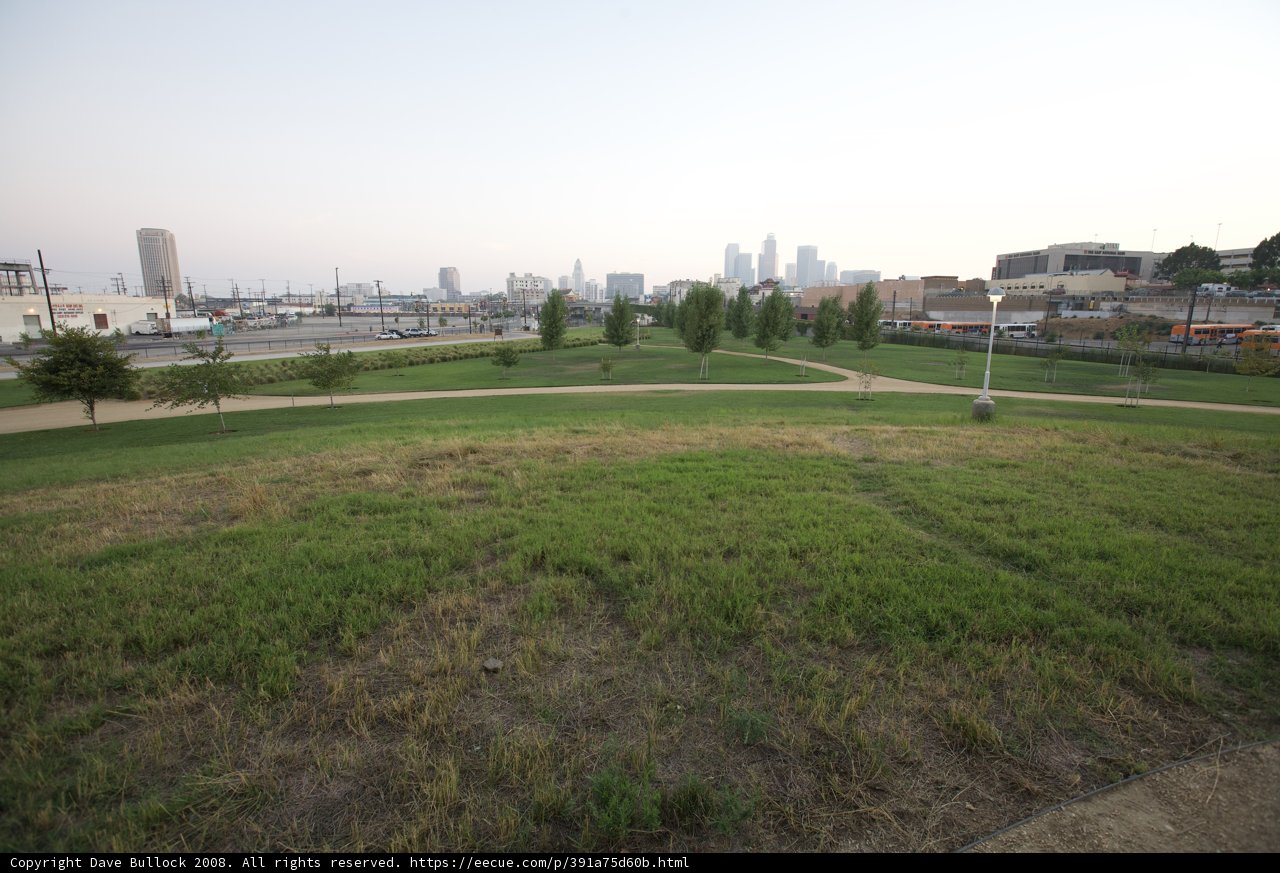 Cityscape Field