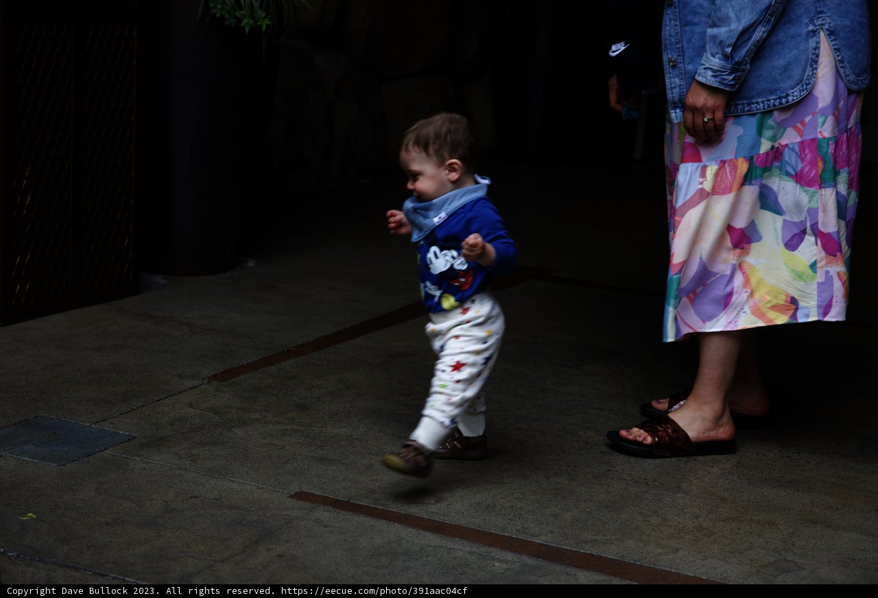 A Magical Stroll in Disneyland