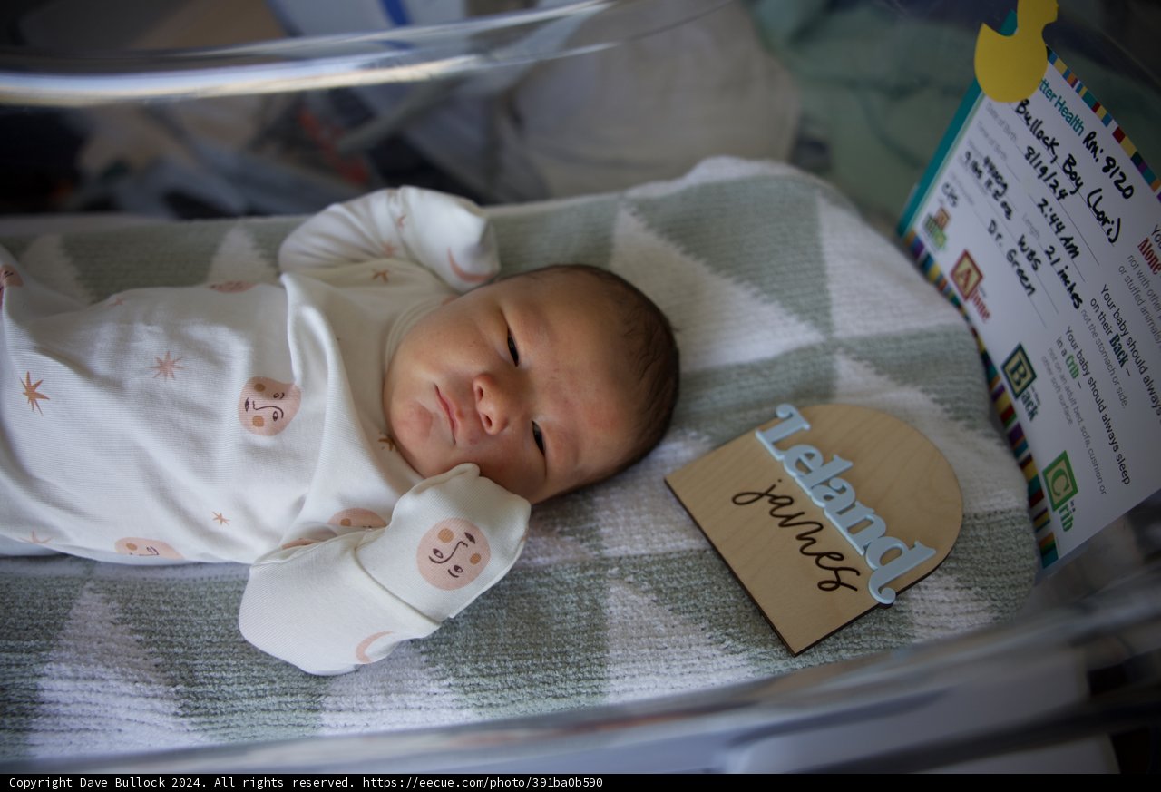 Welcome to the World, Leland