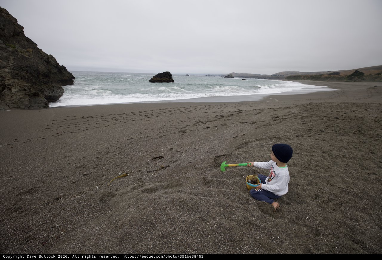 Young Child Playing Alone on Foggy Northern California Beach