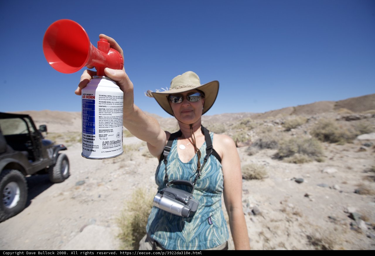 The Woman with the Can