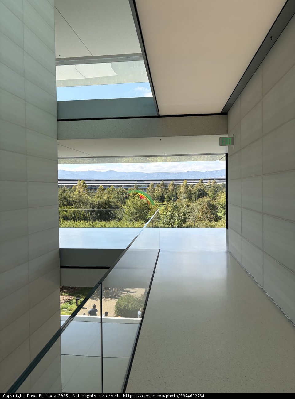 A Glimpse of Modern Design at Apple Park