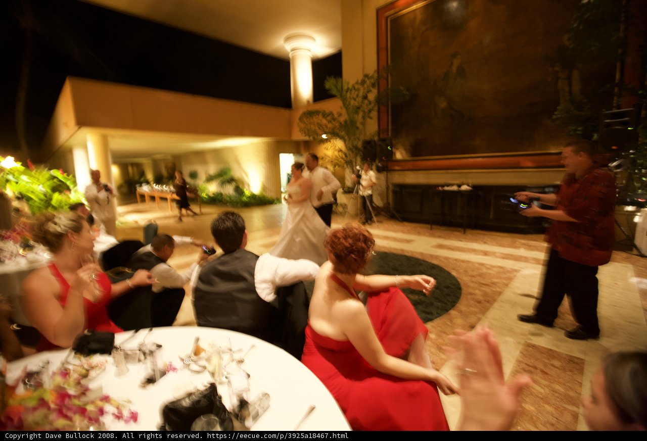 The Elegant Wedding Party in the Ballroom