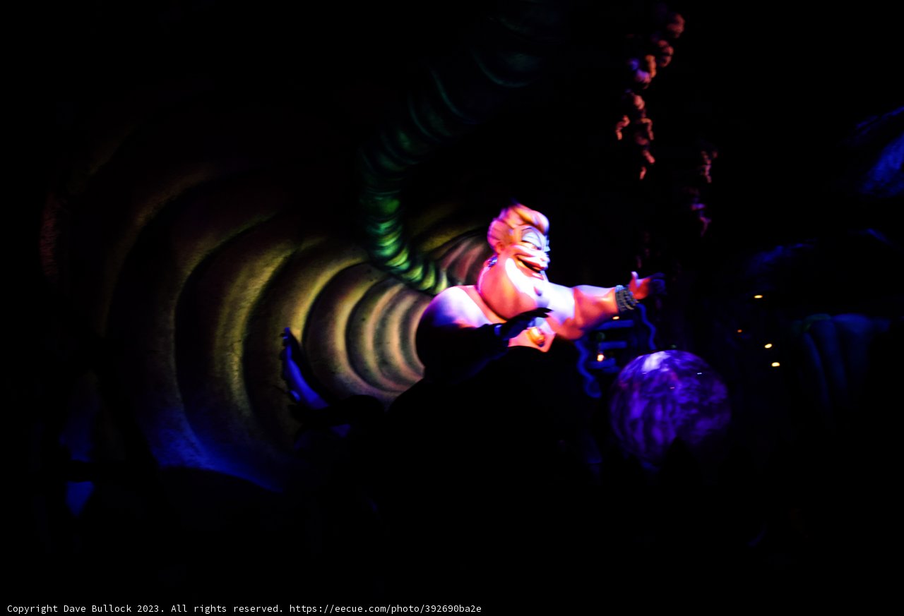 Magical Encounter at Ariel's Underwater Garden