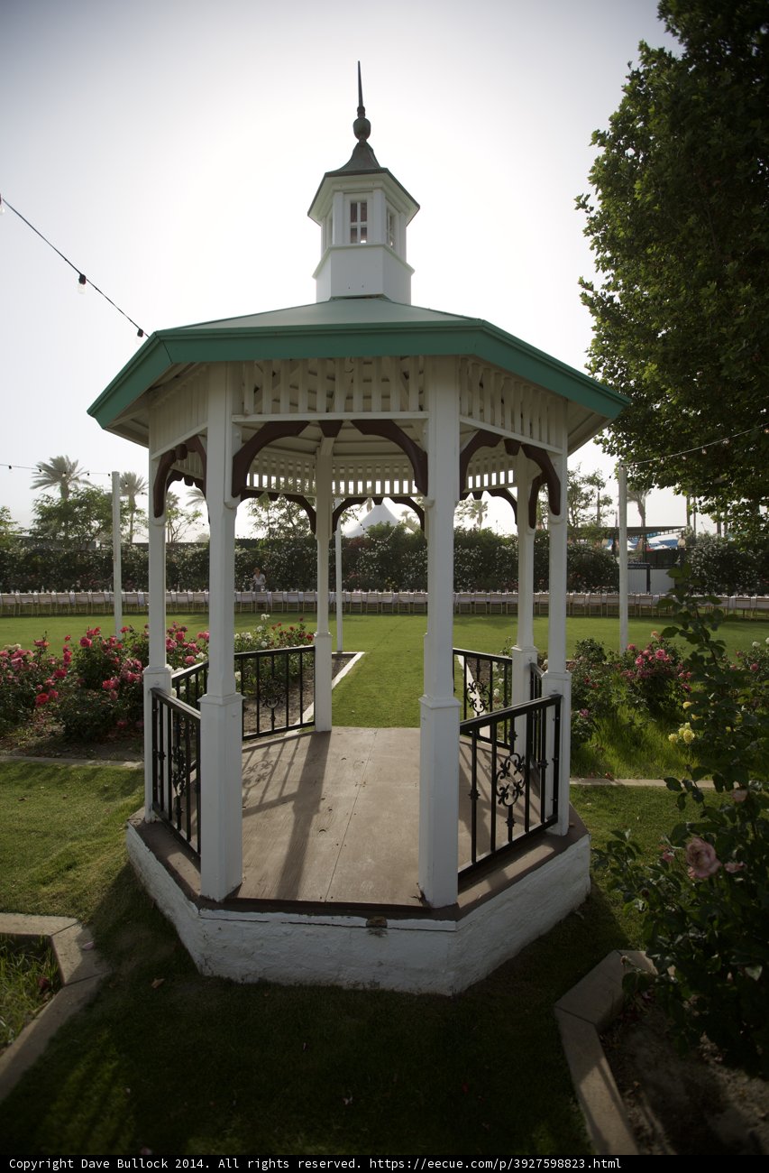 Serenity in the Park