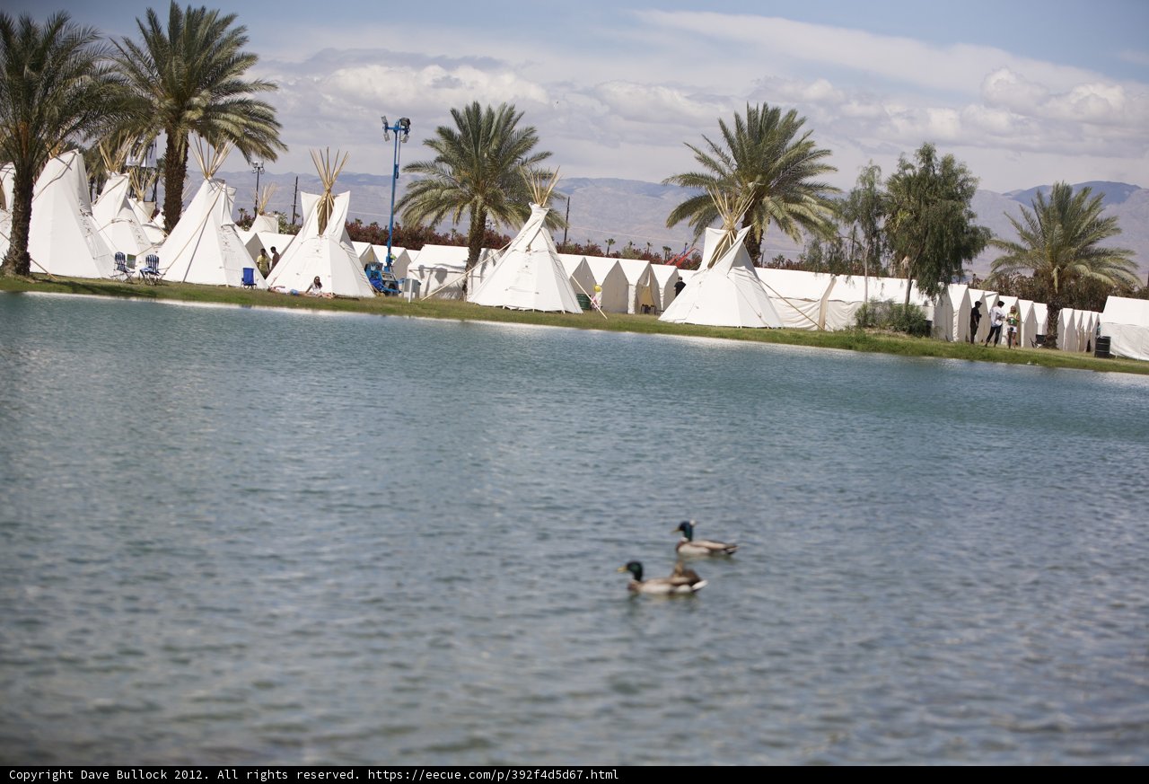 Ducks and Teepee at Coachella