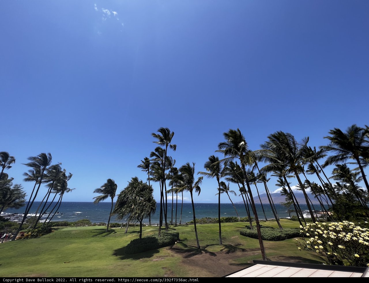 Tropical Paradise