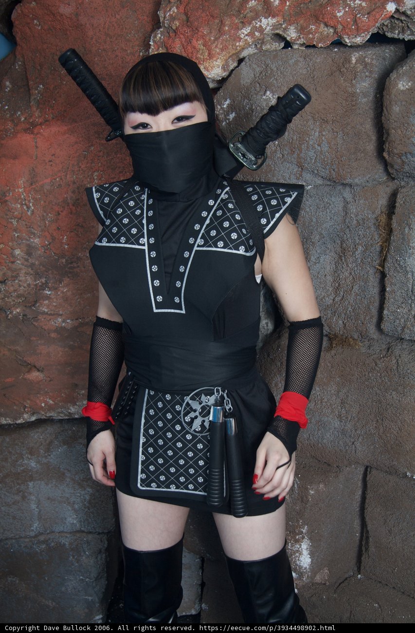 The Deadly Ninja
