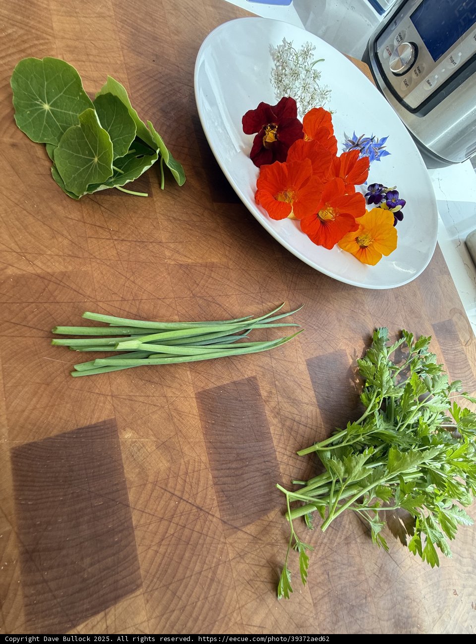 Vibrant Edibles of March