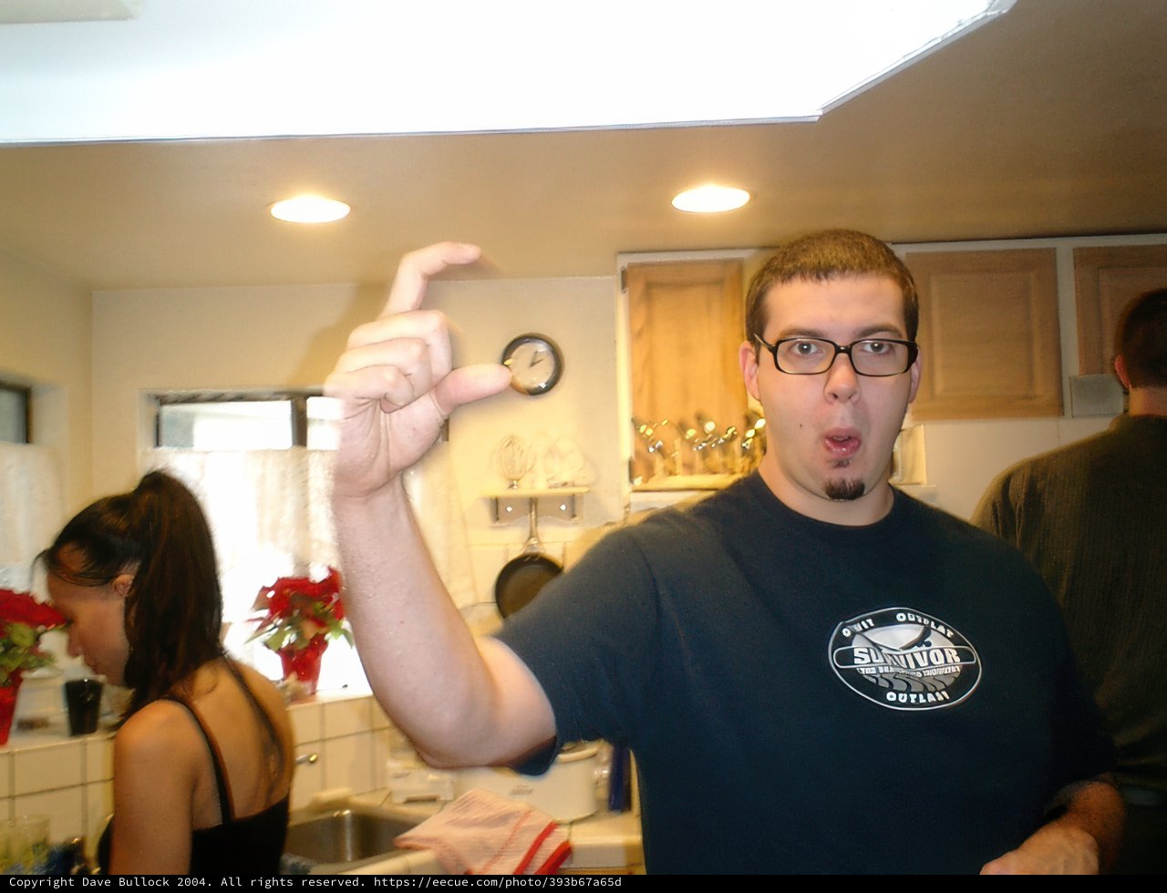 Funny Face at the Christmas Dinner