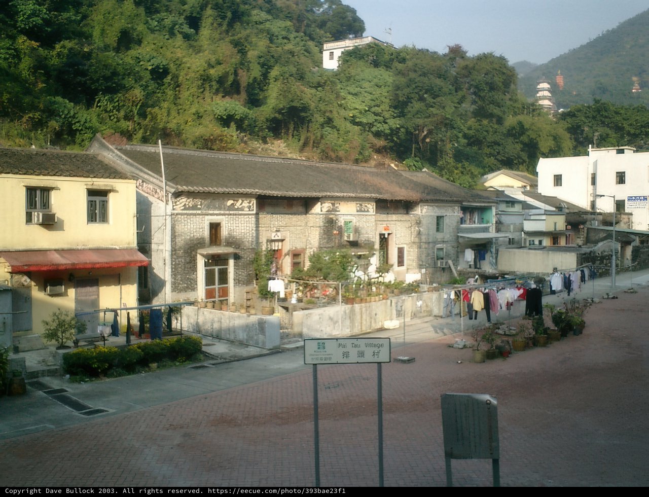 Serene Urban Neighborhood