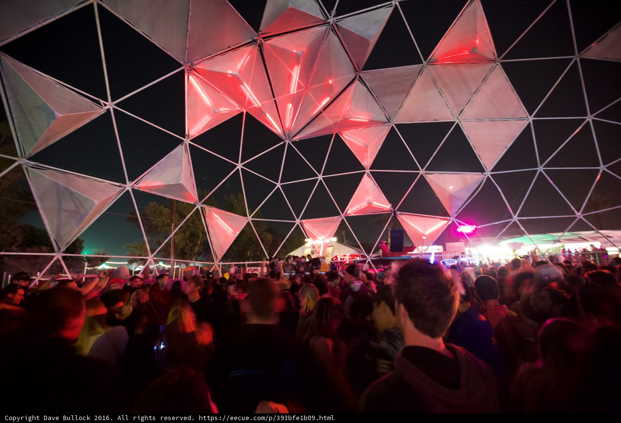 The Electric Crowd at Coachella